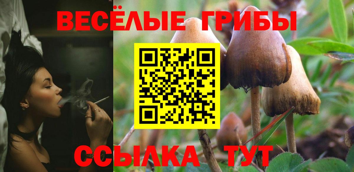 Советск  Галлюциногенные грибы Cubensis  Вход с VPN 