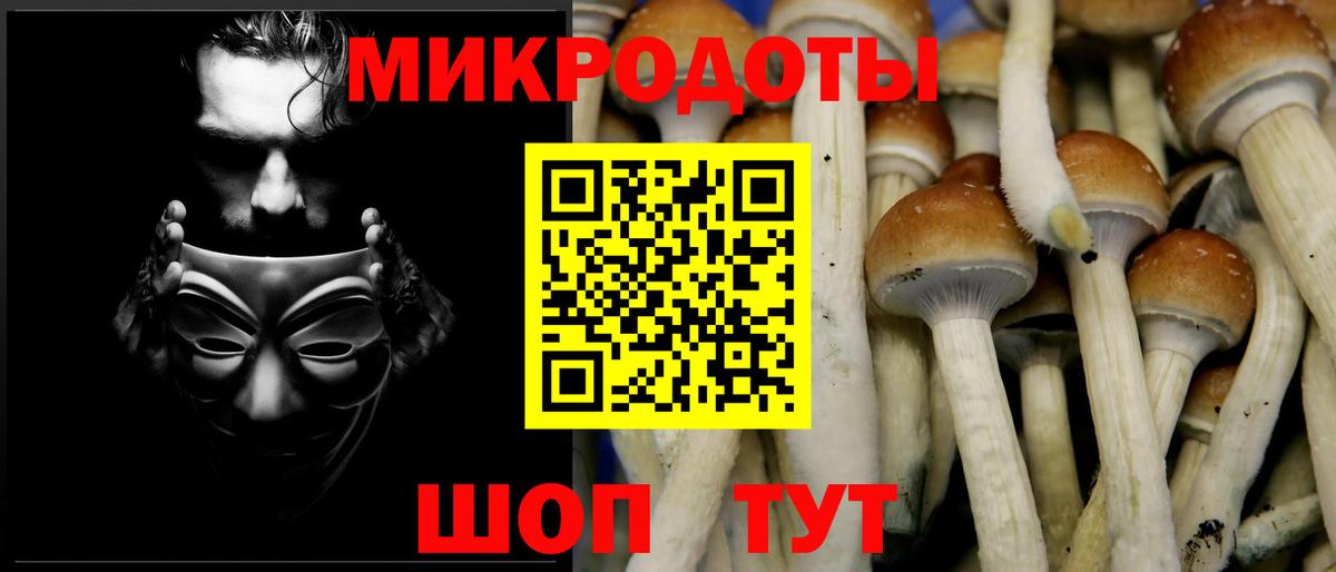 Псилоцибиновые грибы MAGIC MUSHROOMS Советск